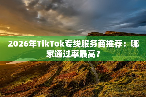 2026年TikTok专线服务商推荐:哪家通过率最高?
