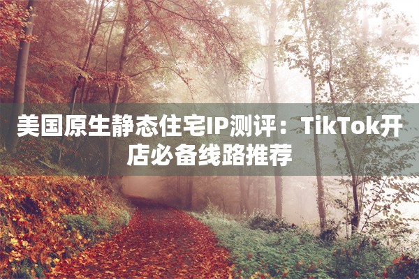 美国原生静态住宅IP测评:TikTok开店必备线路推荐