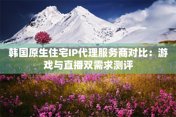 韩国原生住宅IP代理服务商对比：游戏与直播双需求测评
