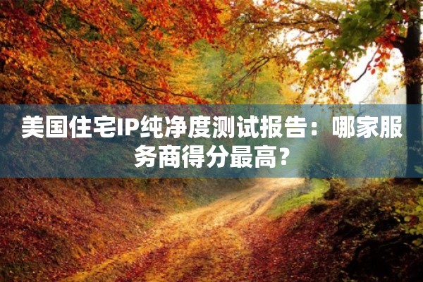 美国住宅IP纯净度测试报告：哪家服务商得分最高？