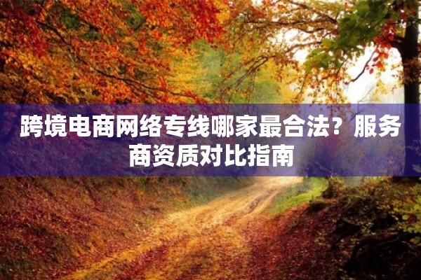 跨境电商网络专线哪家最合法?服务商资质对比指南