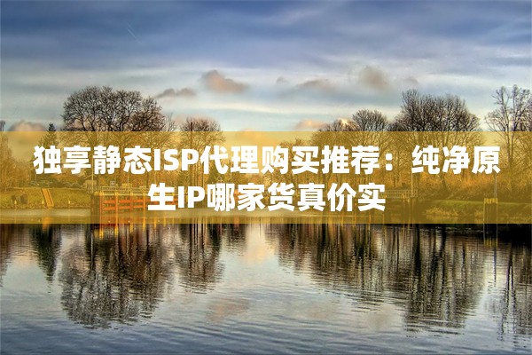 独享静态ISP代理购买推荐:纯净原生IP哪家货真价实