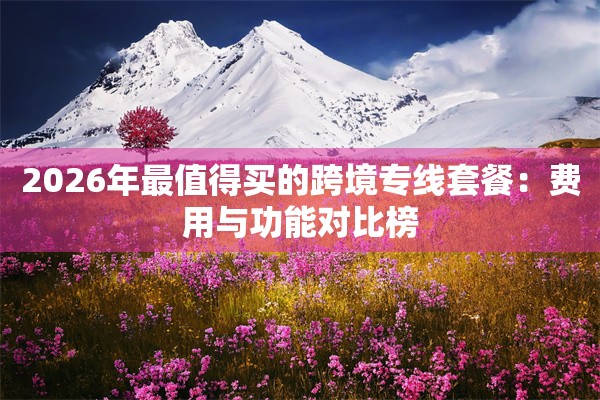 2026年最值得买的跨境专线套餐：费用与功能对比榜