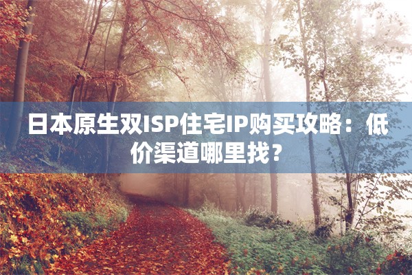 日本原生双ISP住宅IP购买攻略：低价渠道哪里找？