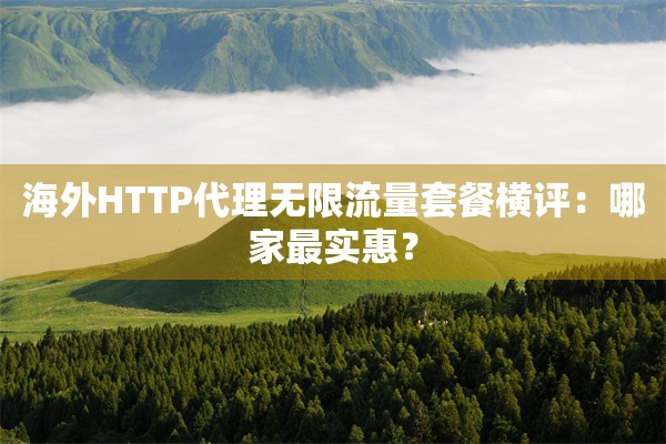 海外HTTP代理无限流量套餐横评：哪家最实惠？