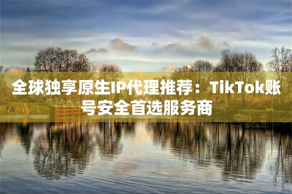 全球独享原生IP代理推荐：TikTok账号安全首选服务商