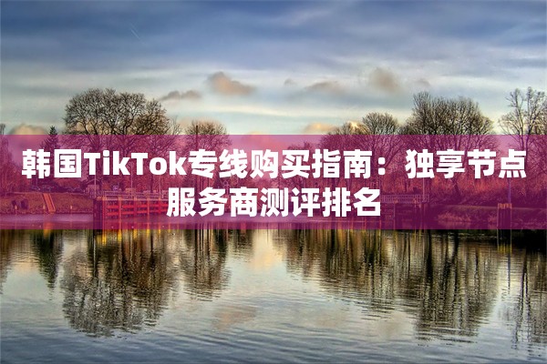 韩国TikTok专线购买指南:独享节点服务商测评排名