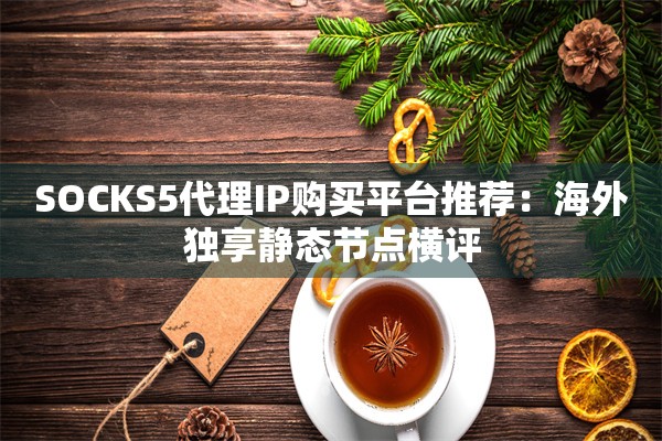SOCKS5代理IP购买平台推荐:海外独享静态节点横评