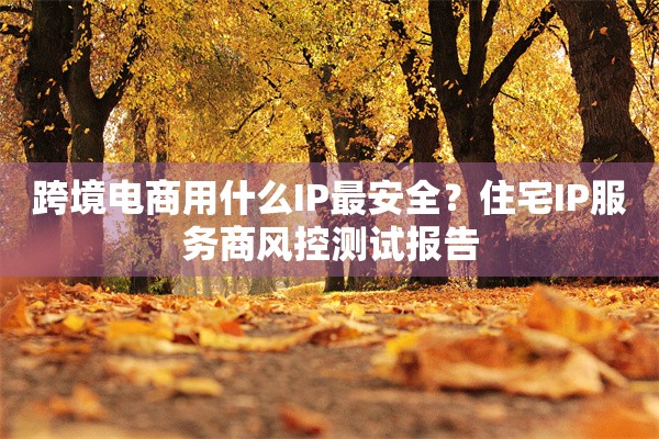 跨境电商用什么IP最安全?住宅IP服务商风控测试报告