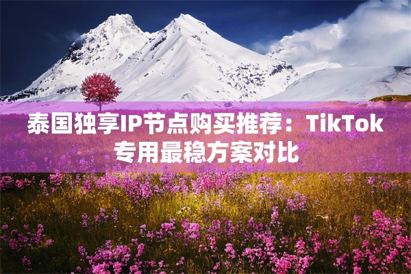 泰国独享IP节点购买推荐:TikTok专用最稳方案对比