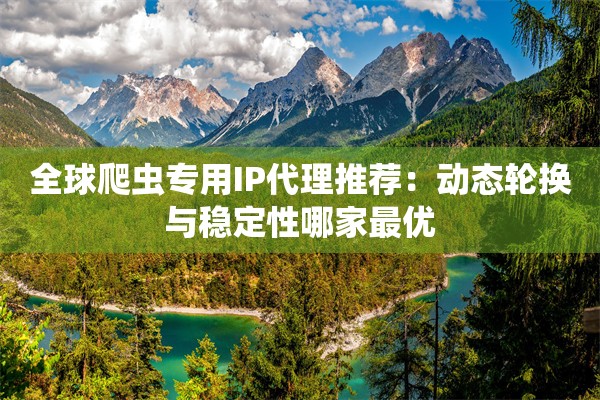 全球爬虫专用IP代理推荐：动态轮换与稳定性哪家最优