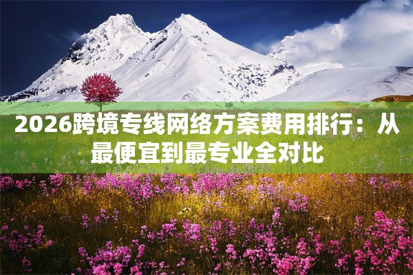 2026跨境专线网络方案费用排行:从最便宜到最专业全对比