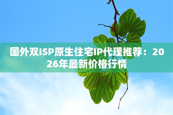 国外双ISP原生住宅IP代理推荐:2026年最新价格行情