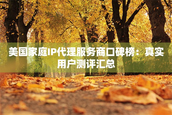 美国家庭IP代理服务商口碑榜:真实用户测评汇总