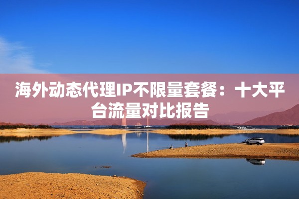 海外动态代理IP不限量套餐:十大平台流量对比报告