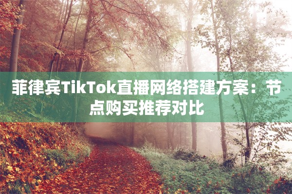 菲律宾TikTok直播网络搭建方案：节点购买推荐对比