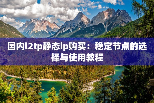 国内l2tp静态ip购买：稳定节点的选择与使用教程