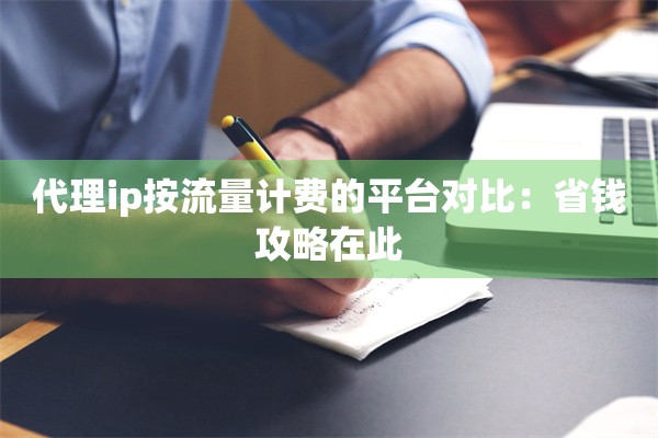 代理ip按流量计费的平台对比:省钱攻略在此