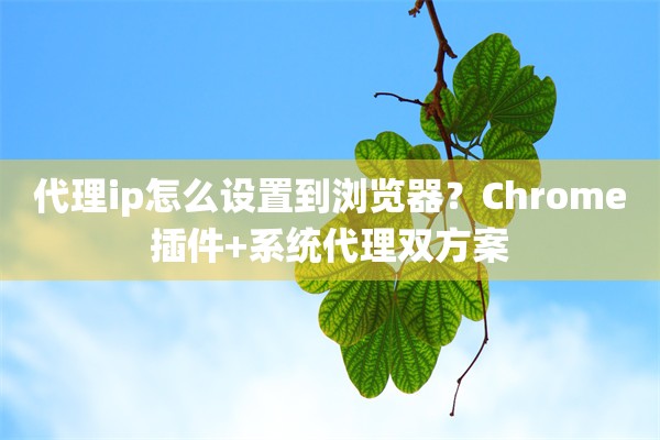 代理ip怎么设置到浏览器?Chrome插件+系统代理双方案