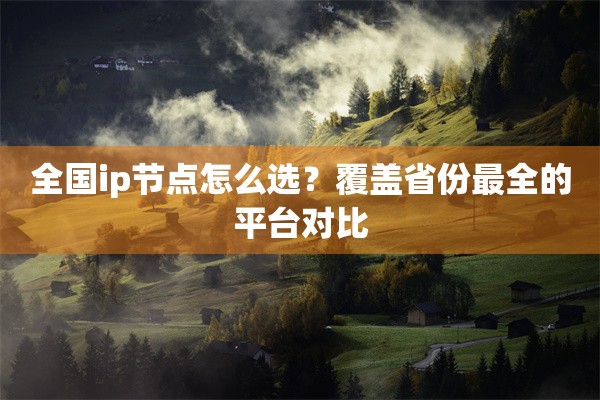 全国ip节点怎么选？覆盖省份最全的平台对比