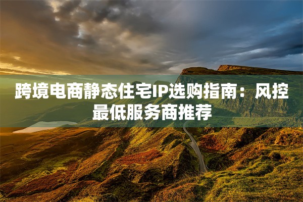 跨境电商静态住宅IP选购指南：风控最低服务商推荐
