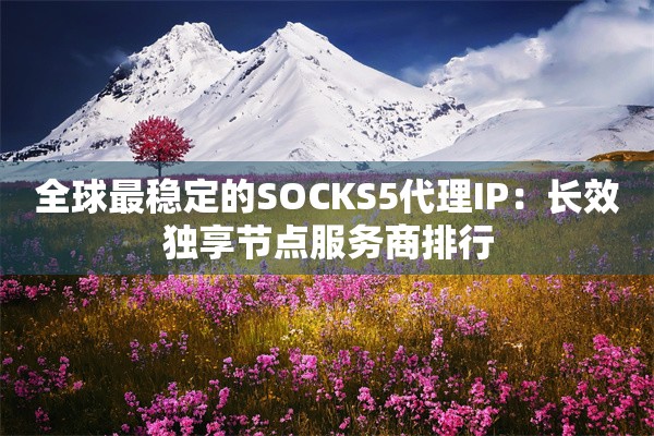 全球最稳定的SOCKS5代理IP：长效独享节点服务商排行