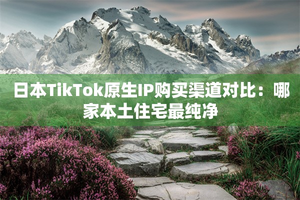 日本TikTok原生IP购买渠道对比:哪家本土住宅最纯净