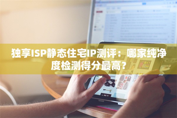独享ISP静态住宅IP测评：哪家纯净度检测得分最高？