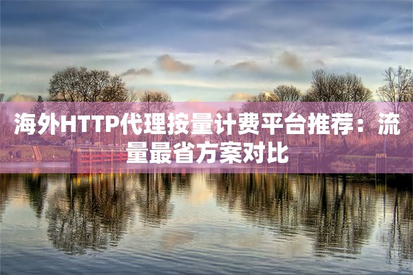 海外HTTP代理按量计费平台推荐：流量最省方案对比