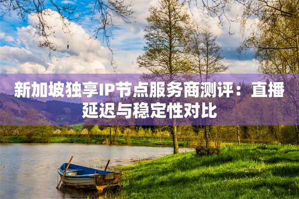 新加坡独享IP节点服务商测评:直播延迟与稳定性对比