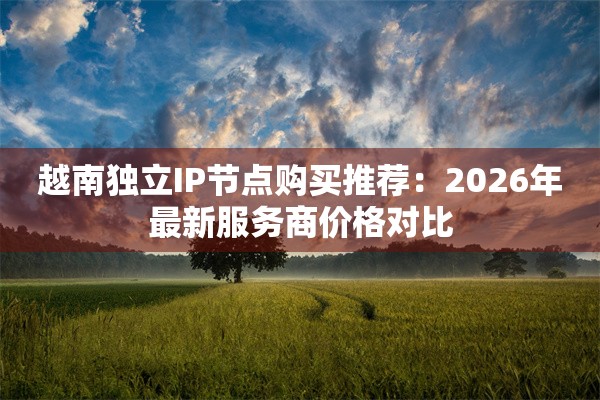 越南独立IP节点购买推荐：2026年最新服务商价格对比