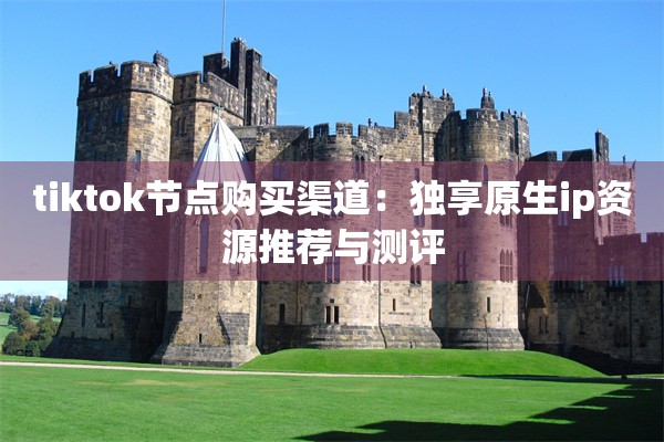 tiktok节点购买渠道：独享原生ip资源推荐与测评