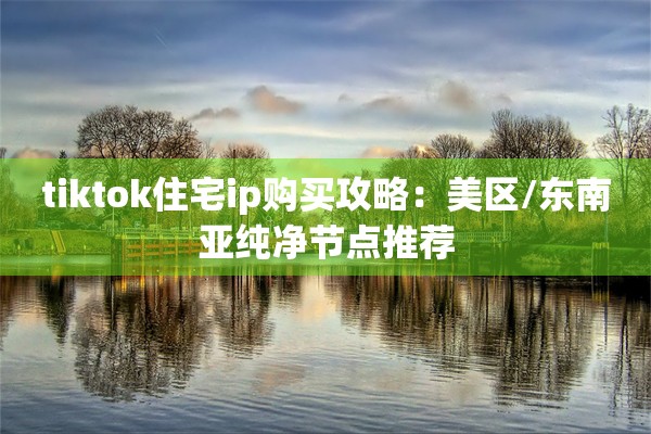 tiktok住宅ip购买攻略：美区/东南亚纯净节点推荐