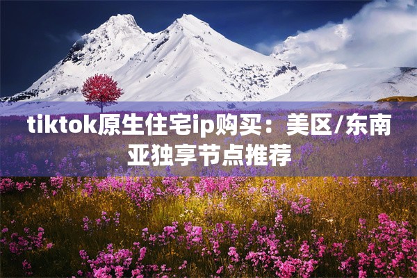 tiktok原生住宅ip购买：美区/东南亚独享节点推荐