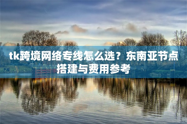 tk跨境网络专线怎么选？东南亚节点搭建与费用参考