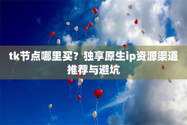 tk节点哪里买？独享原生ip资源渠道推荐与避坑