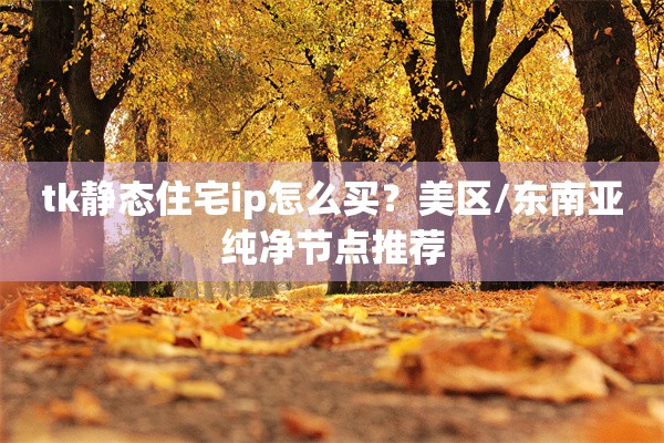 tk静态住宅ip怎么买?美区/东南亚纯净节点推荐