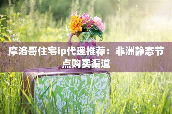 摩洛哥住宅ip代理推荐：非洲静态节点购买渠道