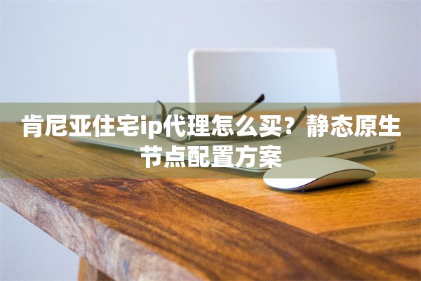 肯尼亚住宅ip代理怎么买？静态原生节点配置方案