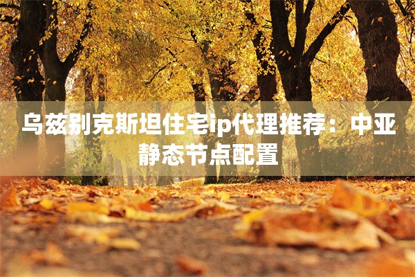 乌兹别克斯坦住宅ip代理推荐:中亚静态节点配置