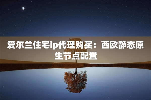 爱尔兰住宅ip代理购买:西欧静态原生节点配置