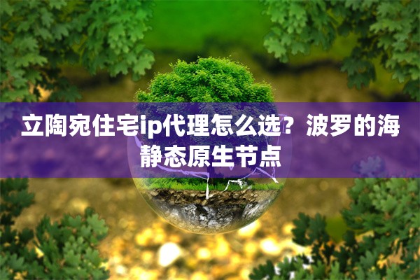 立陶宛住宅ip代理怎么选?波罗的海静态原生节点
