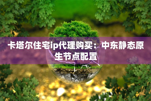 卡塔尔住宅ip代理购买：中东静态原生节点配置