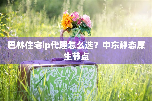 巴林住宅ip代理怎么选？中东静态原生节点