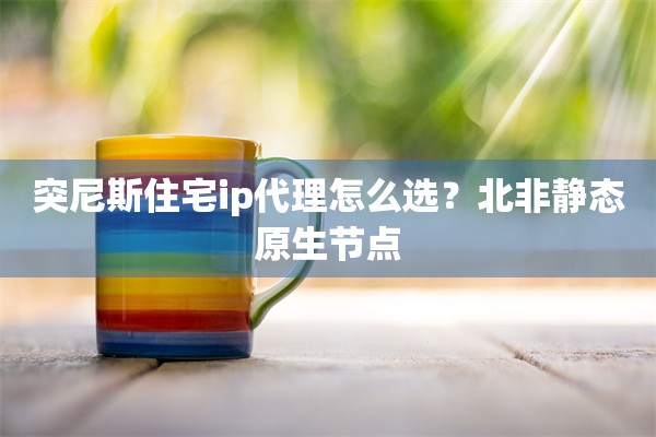 突尼斯住宅ip代理怎么选？北非静态原生节点