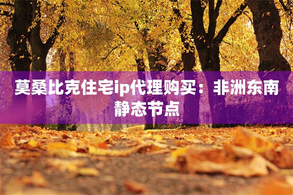 莫桑比克住宅ip代理购买:非洲东南静态节点