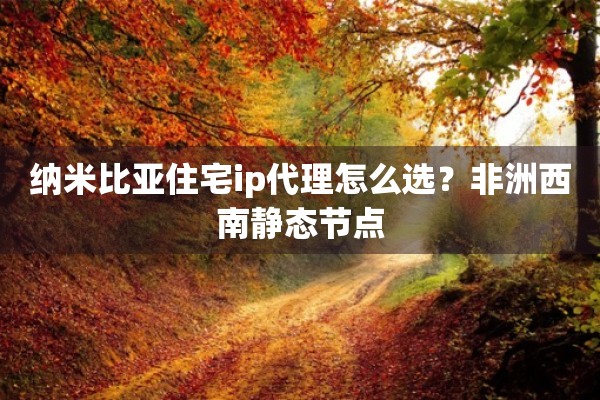 纳米比亚住宅ip代理怎么选？非洲西南静态节点