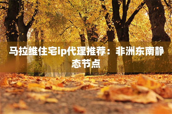 马拉维住宅ip代理推荐:非洲东南静态节点