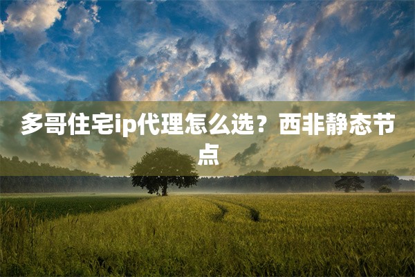 多哥住宅ip代理怎么选?西非静态节点