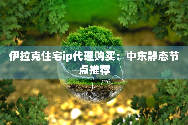 伊拉克住宅ip代理购买：中东静态节点推荐